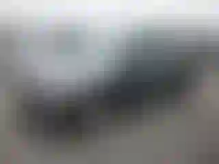 Vehicle Image- 2012 Volkswagen Tiguan