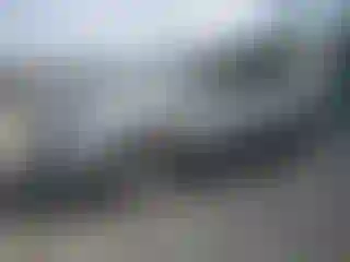 Vehicle Image- 2013 Volkswagen Tiguan