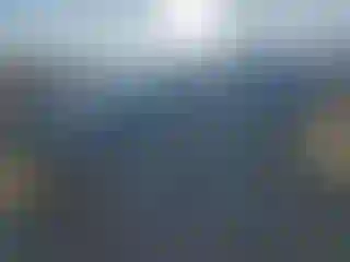 Vehicle Image- 2012 Volkswagen Tiguan