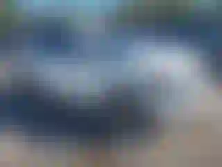 Vehicle Image- 2016 Volkswagen Tiguan