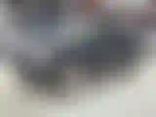 Vehicle Image- 2012 Volkswagen Tiguan