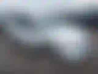 Vehicle Image- 2010 Volkswagen Tiguan