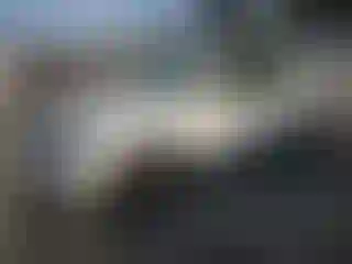 Vehicle Image- 2016 Volkswagen Tiguan