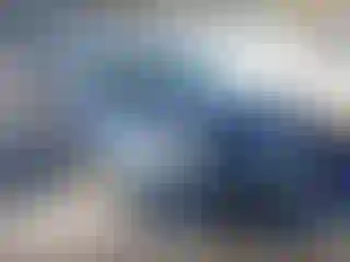 Vehicle Image- 2012 Volkswagen Tiguan