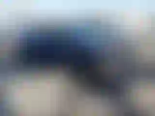 Vehicle Image- 2022 Volkswagen Golf