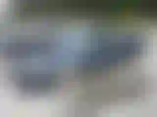 Vehicle Image- 2007 Volkswagen Passat