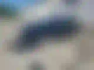 Vehicle Image- 2014 Volkswagen CC