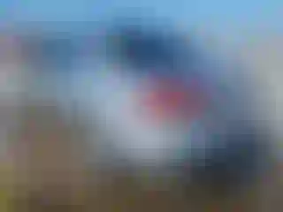 IMPORTOWO.pl