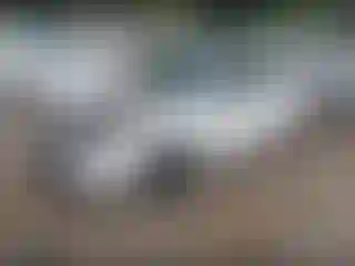 IMPORTOWO.pl