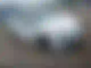Vehicle Image- 2024 Volkswagen Golf