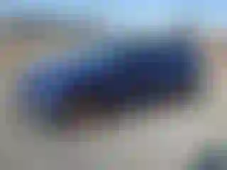 Vehicle Image- 2022 Volkswagen Golf