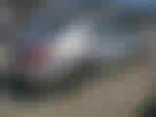 IMPORTOWO.pl