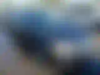 Vehicle Image- 2009 Volkswagen Passat