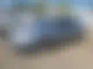 Vehicle Image- 2008 Volkswagen Passat