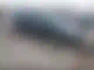 Vehicle Image- 2008 Volkswagen Passat