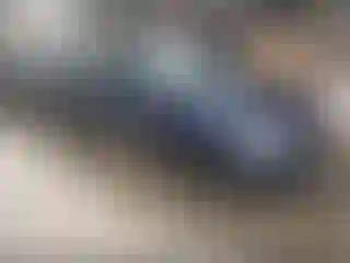 Vehicle Image- 2003 Volkswagen Passat