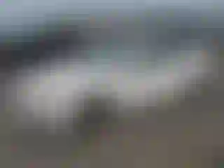 Vehicle Image- 2009 Volkswagen CC