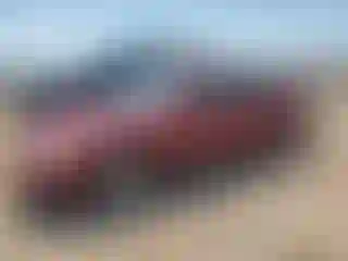 Vehicle Image- 2000 Volkswagen Passat
