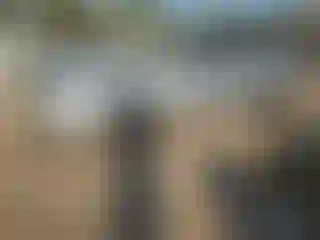 Vehicle Image- 2002 Volkswagen Passat