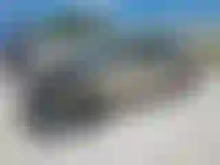 Vehicle Image- 2002 Volkswagen Passat