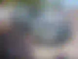 Vehicle Image- 2002 Volkswagen Passat