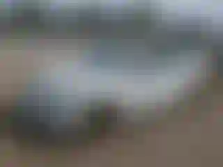 Vehicle Image- 2019 Volkswagen Golf