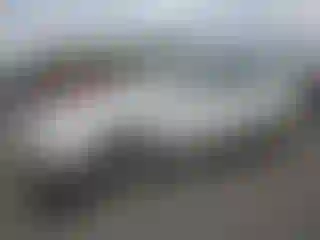 Vehicle Image- 2010 Volkswagen Passat