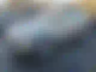 Vehicle Image- 2014 Volvo S60