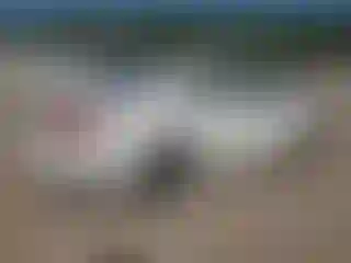 IMPORTOWO.pl