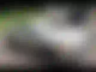 IMPORTOWO.pl