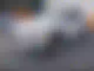 IMPORTOWO.pl