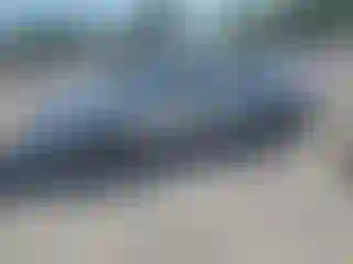 Vehicle Image- 2006 Volvo S60