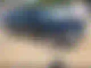 IMPORTOWO.pl