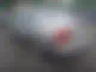 IMPORTOWO.pl