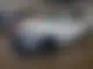 Vehicle Image- 2023 Volvo XC90
