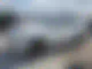 Vehicle Image- 2022 Volvo XC90