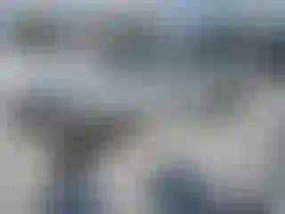 Vehicle Image- 2021 Volvo XC60