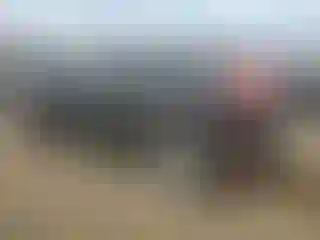 IMPORTOWO.pl