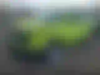 IMPORTOWO.pl