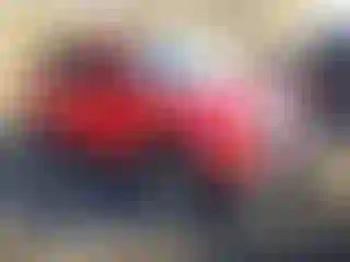 Vehicle Image- 2017 Jeep Renegade