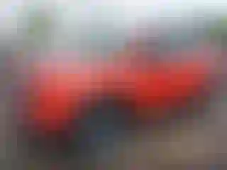 IMPORTOWO.pl