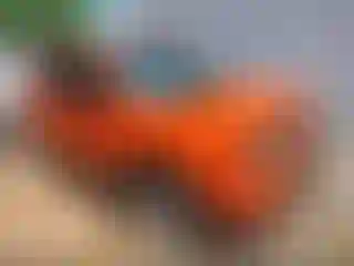 Vehicle Image- 2019 Jeep Renegade