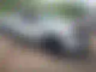 Vehicle Image- 2020 Jeep Renegade