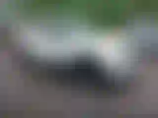 Vehicle Image- 2022 Jeep Renegade