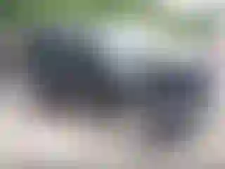 Vehicle Image- 2022 Jeep Renegade