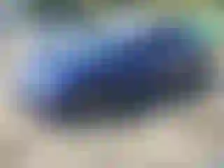 Vehicle Image- 2014 Maserati Ghibli