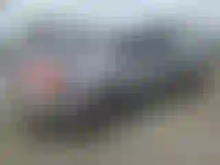 IMPORTOWO.pl