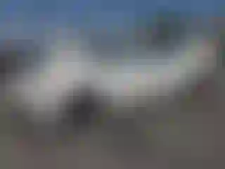 Vehicle Image- 2014 Maserati Ghibli