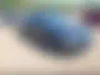 Vehicle Image- 2017 Maserati Ghibli