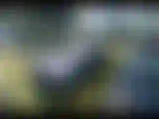 IMPORTOWO.pl